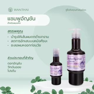 Wanthai (ว่านไทย) 🌿 แชมพูดอกอัญชัน l ช่วยให้ผมดกดำ เงางาม ลดการอักเสบบนหนังศีรษะ ป้องกันผมหงอกก่อนวัย