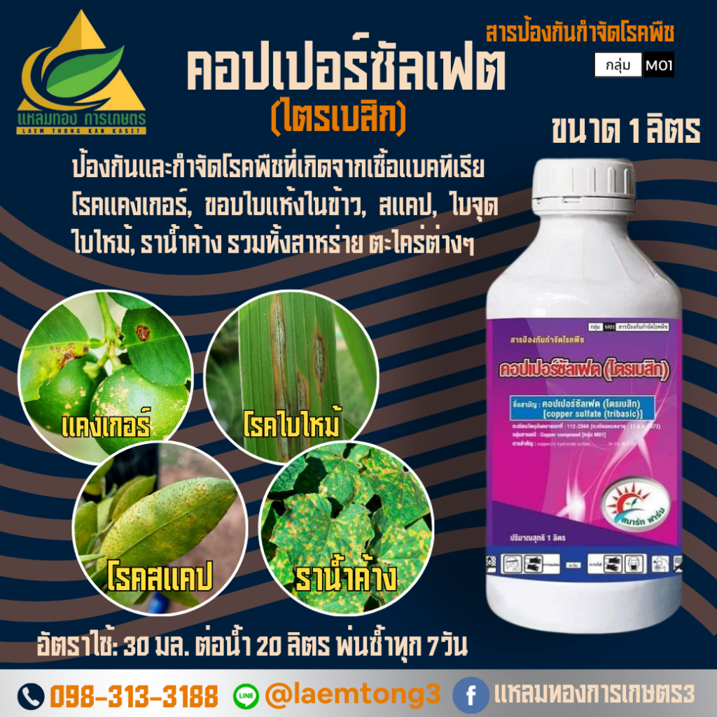 คอปเปอร์ซัลเฟต (ไตรเบสิค) (copper sulfate (tribasic)) 34.5% W/V SC (1 ลิตร) ป้องกัน กำจัดโรคพืชที่เกิดจากเชื้อแบคทีเรีย