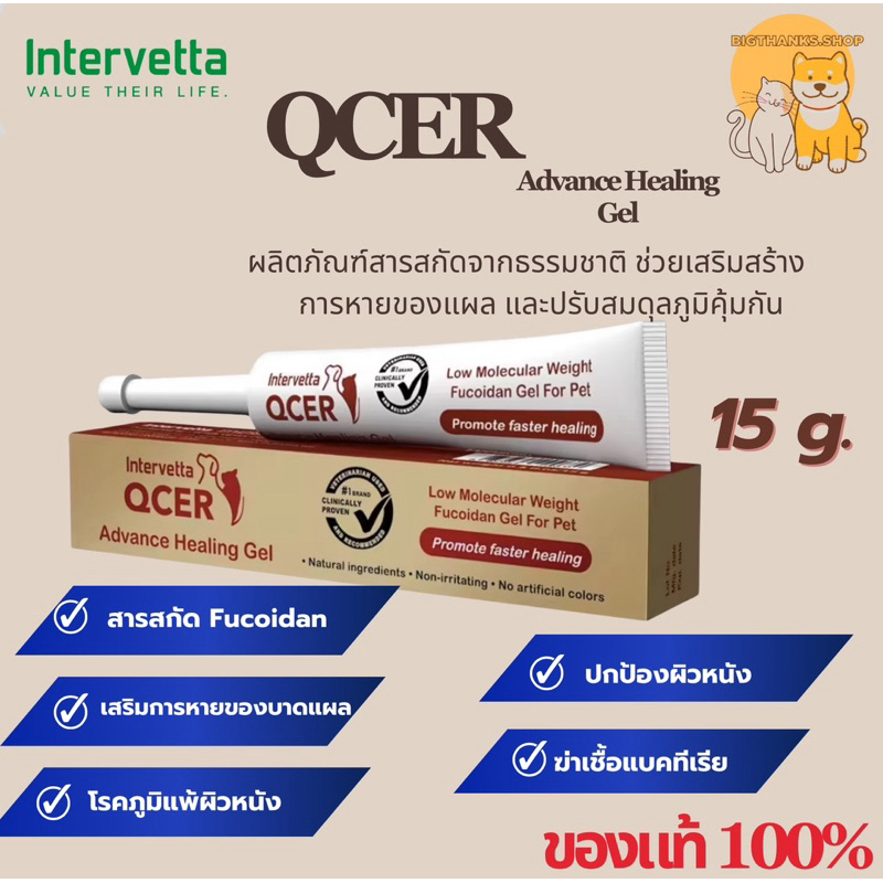 (( แบบเจล)) Intervetta QCER Advanced Healing Gel Exp.08/26 ขนาด 15 g. สำหรับให้แผลช่วยให้หายเร็ว ปรั