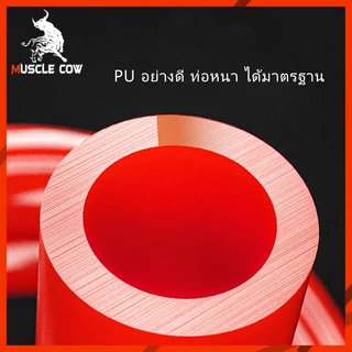 MUSCLE COW สายลม สายลมสปริง สายลมขด ยาว 8/10/12/15 เมตร สายปั๊มลม PU AIR HOSE 8x5mm แบบขดสปริง พร้อมหัวคอปเปอร์ สีส้ม