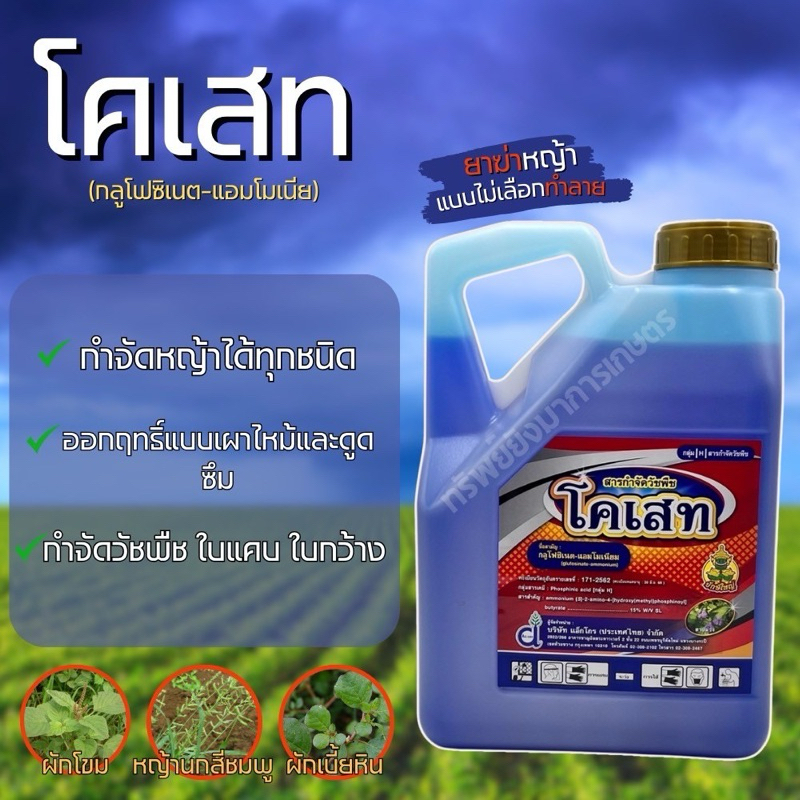 โคเสท กลูโฟซิเนต ขนาด 4 ลิตร  กลูโฟซิเนต กำจัดวัชพืชประเภทใบแคบ/ใบกว้าง อ้อย มันสำปะหรั่ง