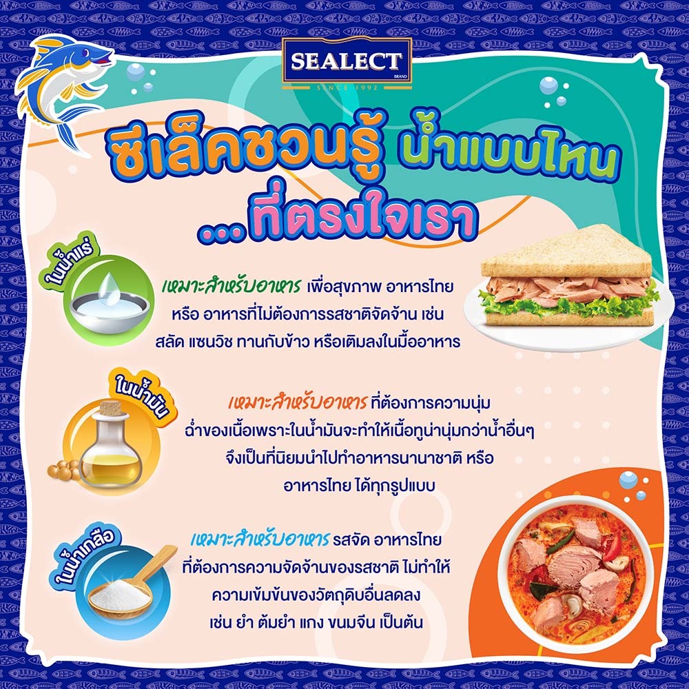 รูปภาพ 8