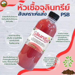 (เซต 2 ขวด ) หัวเชื้อ จุลินทรีย์สังเคราะห์แสง PSB สูตรเข้มข้น หัวเชื้อแท้ 100% เร่งราก ดอก ผล ดก