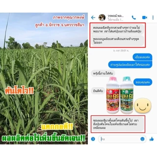 ปุ๋ยน้ำกระตุ้นผลผลิต บูม99 (ร้านใหม่) ขนาด 1 ลิตร แถมเสื้อ+ผงดำ ✨ส่งฟรีทุกชุด‼️