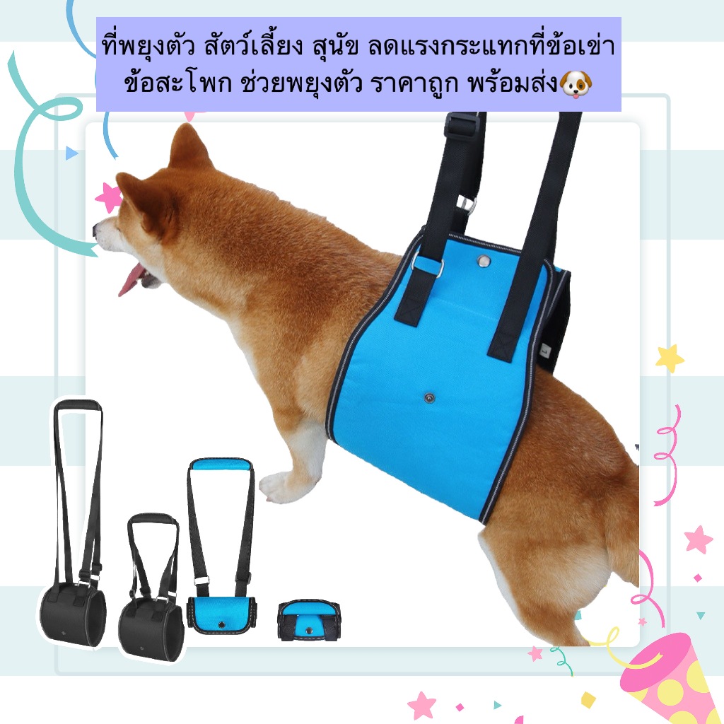 BN-1164 🐾 ที่พยุงตัวสัตว์เลี้ยง สำหรับสุนัข ลดแรงกระแทกข้อเข่า ข้อสะโพก ช่วยพยุงตัว พร้อมส่ง!  💙 เหมาะสำหรับสุนัขตัวใหญ่