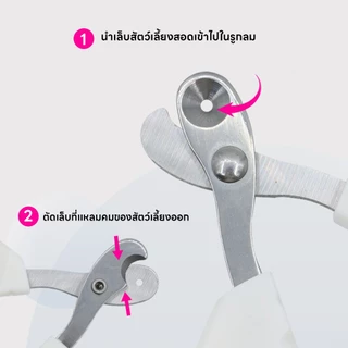 yoyopet : กรรไกรตัดเล็บแมว ที่ตัดเล็บแมว ตัดเล็บสัตว์เลี้ยง ทรงกลม ป้องกันการตัดโดนเส้นเลือดของแมว