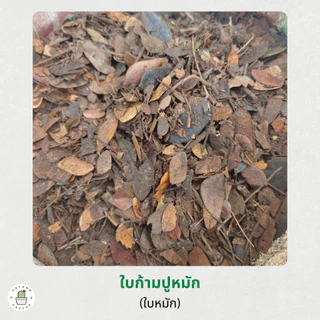 🍂🍂 ใบก้ามปูหมัก ดินใบก้ามปู ร่อนละเอียด ร่อนหยาบ ใบ ธาตุอาหารไนโตรเจนสูง ขนาด 1กิโลกรัม 🍂🍂