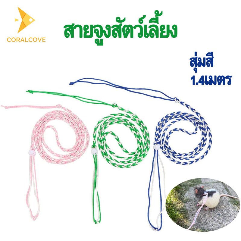 coralcoveshop สายจูงสัตว์เลี้ยง 1.4 เมตร สายจูงเปีย สำหรับสัตว์เล็ก หนูแฮมสเตอร์ กระรอก สุ่มสี