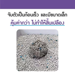 CatMe Lavender 10L. ทรายแมว ทรายหินภูเขาไฟ กลิ่นลาเวนเดอร์ หอมสดชื่น จับเป็นก้อน บรรจุ 8 Kg. (10 ลิตร)