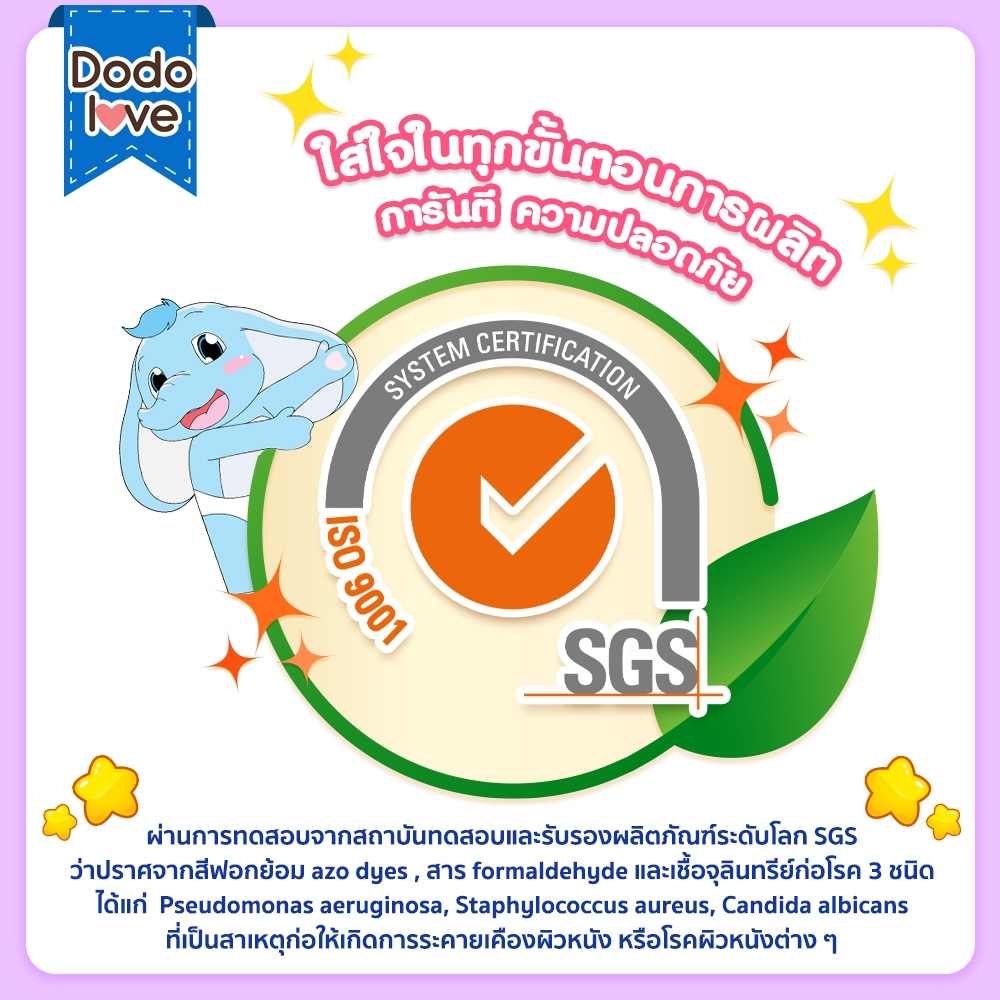 รูปภาพ 8