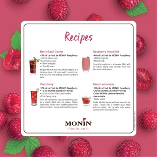 MONIN Raspberry Fruit Mix ราสเบอร์รี่ฟรุ๊ตมิกซ์ 1L.