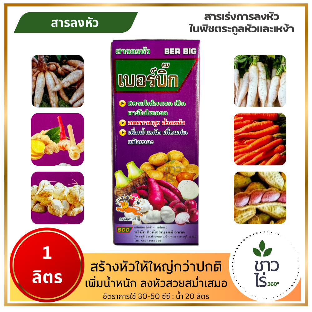เบอร์บิ๊ก 1 ลิตร บ.สิงห์เจริญ เร่งการลงหัว ลดความสูงสั่งลงหัว หัวใหญ่น้ำหนักดี แป้งเยอะเนื้อแน่น พืชหัวเหง้า มันสำปะหลัง