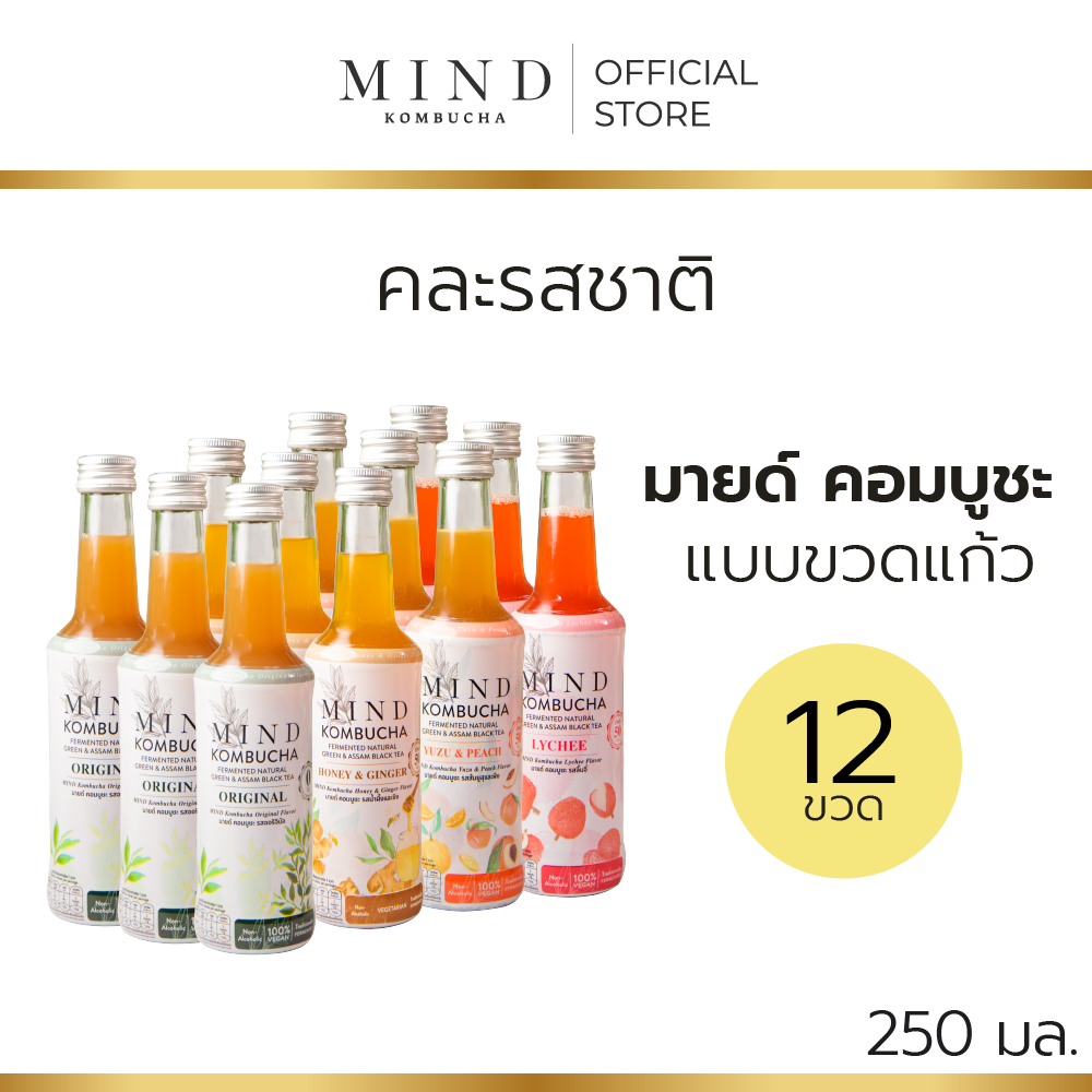 มายด์ คอมบูชะ ขวดแก้วพร้อมดื่ม คละรสชาติ [12 ขวด] ขนาด 250 มล.