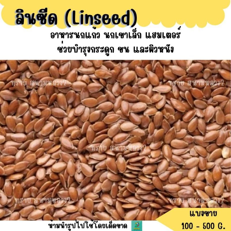 ลินซีด Linseed(แบ่งขาย 200-500 G.) อาหารนกแก้ว และแฮมเตอร์