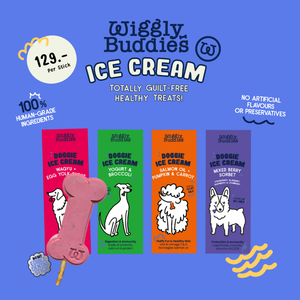 Wiggly Buddies - Doggie Ice Cream ไอศกรีมสำหรับสัตว์เลี้ยง ชนิดแท่ง