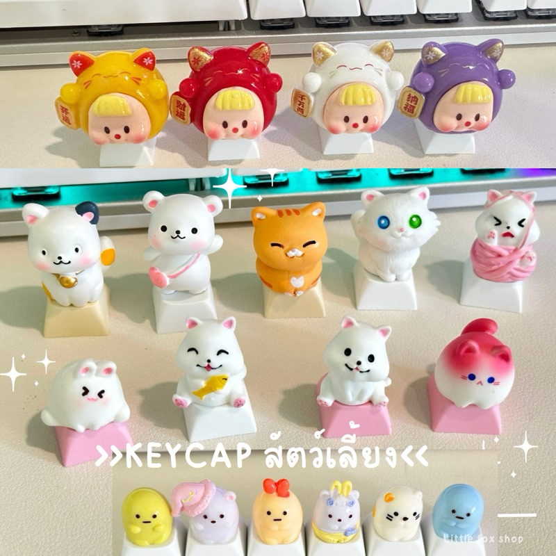 คีย์แคปเซตสัตว์เลี้ยงพร้อมส่ง อัพเดท