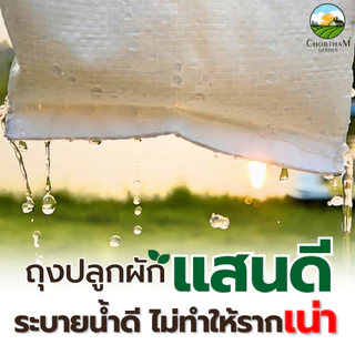 ถุงเพาะปลูก 1 กิโล ตราแสนดี เพาะชำ ปลูกผัก ระบายน้ำดี รากเดินไว​ ใช้ทนนานได้​ 8​ ปี