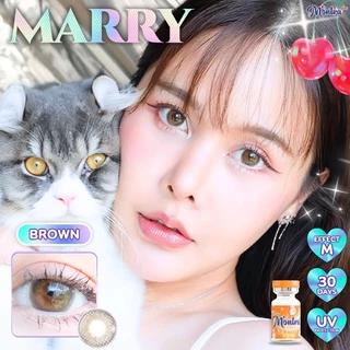 คอนแทคเลนส์ Marry Brown / Gray / Almond Brown (Montra) ขนาดกลาง 💙 เลนส์ทูโทน ตานัว ลดตาลอย