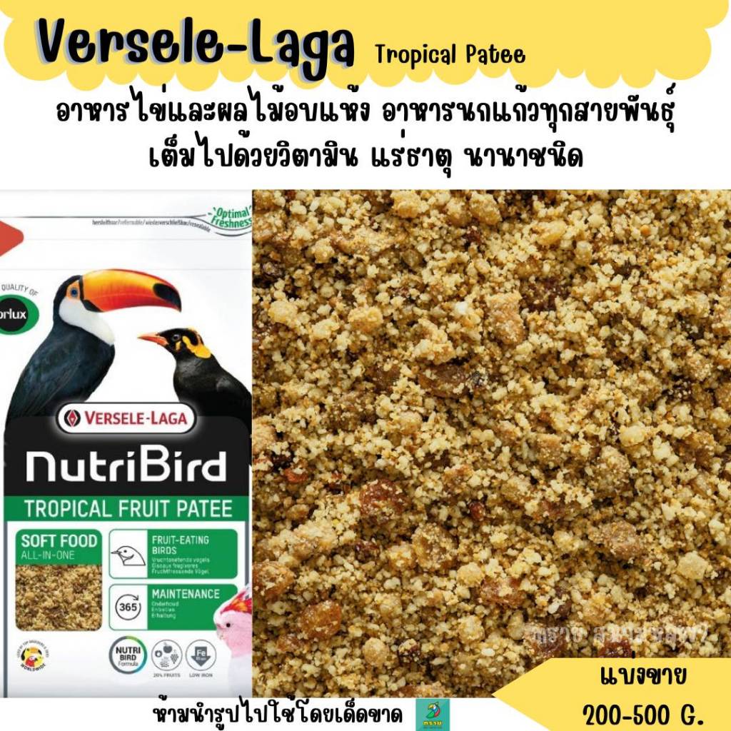 NutriBird Tropical Fruit Patee (แบ่งขาย 200-500 G.) อาหารไข่และผลไม้อบแห้ง นกแก้