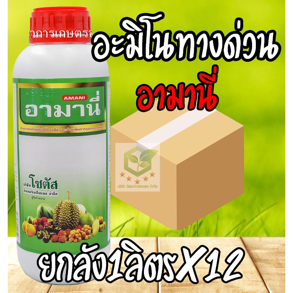 /ยกลัง12ขวด/ อามานี่ 1ลิตร กรดอะมิโนทางด่วน สำหรับพืช กระตุ้นการเปิดปากใบ เร่งการสังเคราะห์แสง สร้างอาหาร โซตัส