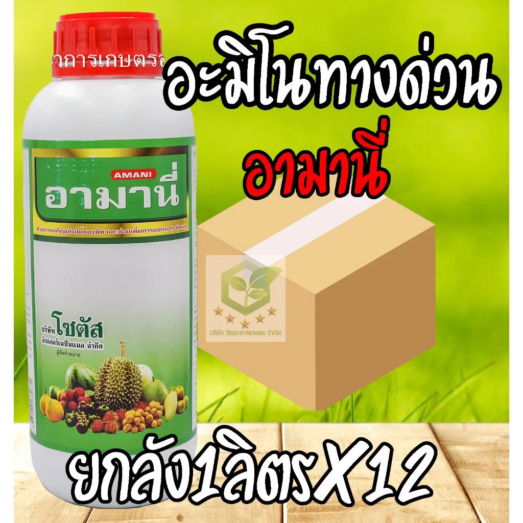 /ยกลัง12ขวด/ อามานี่ 1ลิตร กรดอะมิโนทางด่วน สำหรับพืช กระตุ้นการเปิดปากใบ เร่งการสังเคราะห์แสง สร้างอาหาร โซตัส