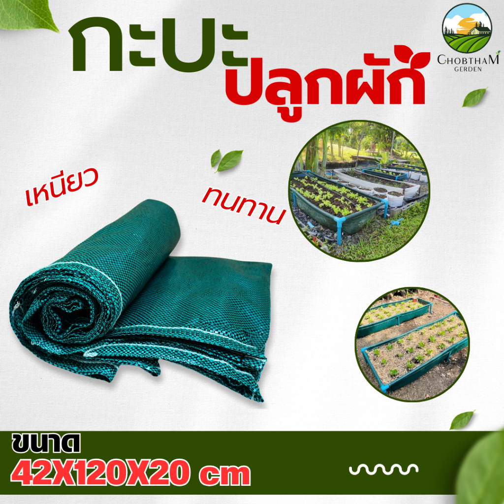 กะบะปลูกผัก (ไม่รวมโครง)​ขนาด​ 42×120×20 cm.​ใช้​ป​ลูกผัก​  ประหยัด​ดิน​และเนื้อที่ในการปลูก ราคาถูก​ ใช้ทนได้​ 8​ ปี