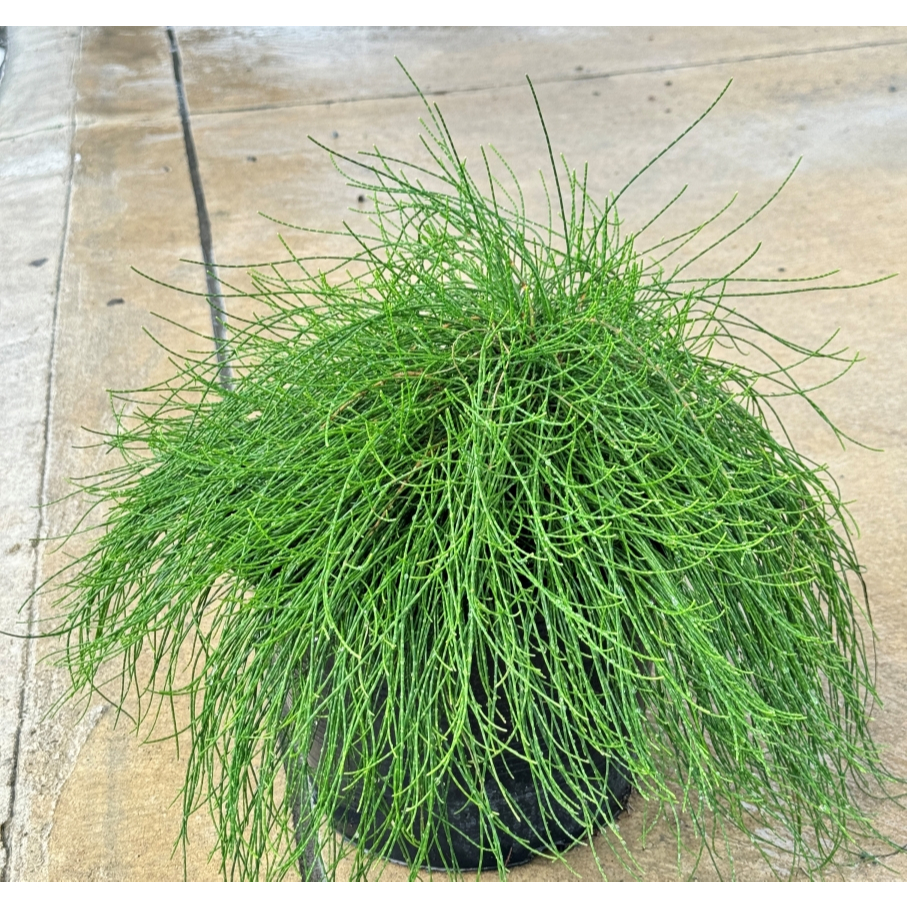 มุมมอง 3