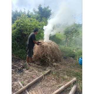 เบ็ดไม้ไผ่ เบ็ดปักคันนาพร้อมใช้ ยาว90cm,1m,120cm รมควันกันมอด