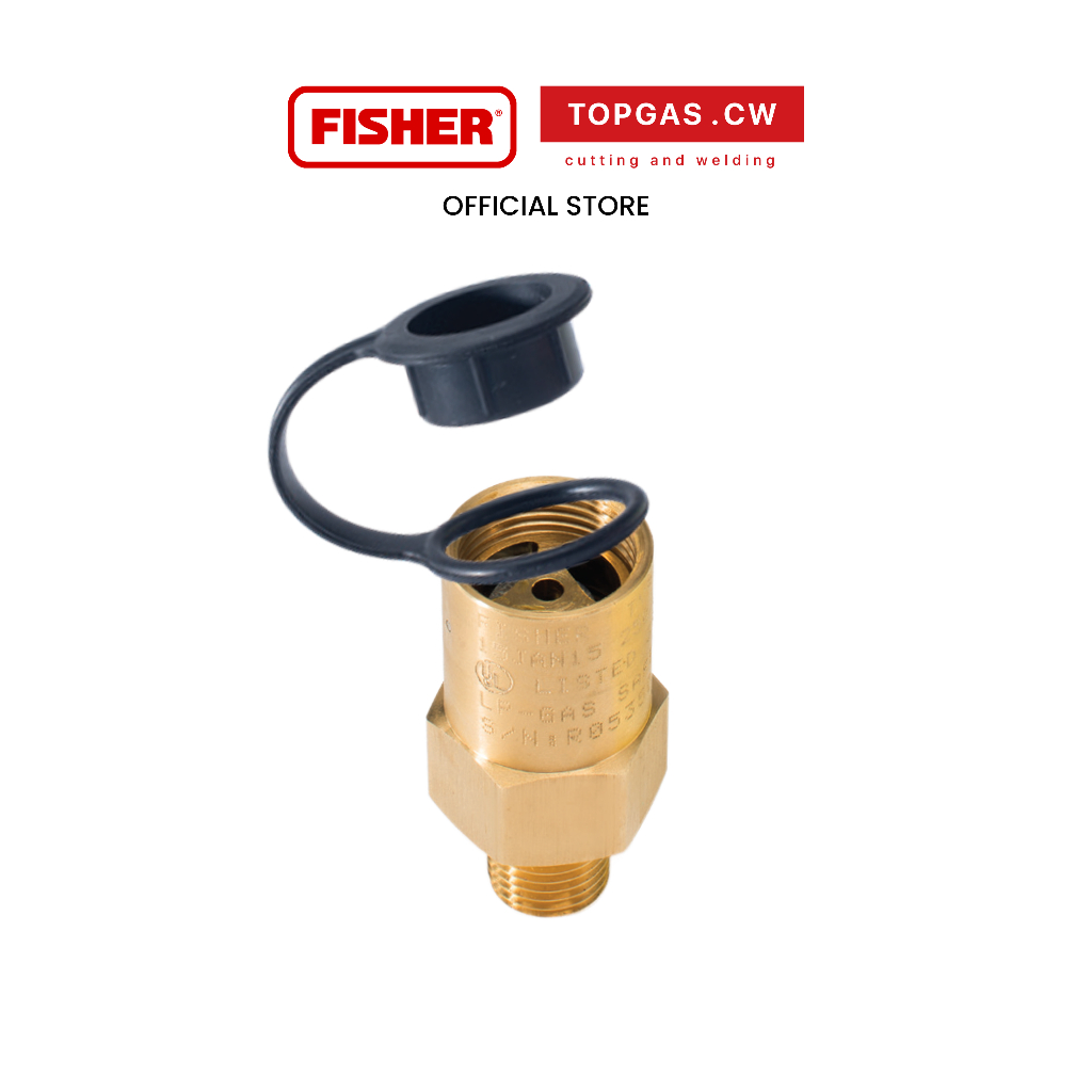 วาล์วนิรภัยกันระเบิด Safety Relief Valve Fisher รุ่น H110, H123, H125 ❘ topgascw