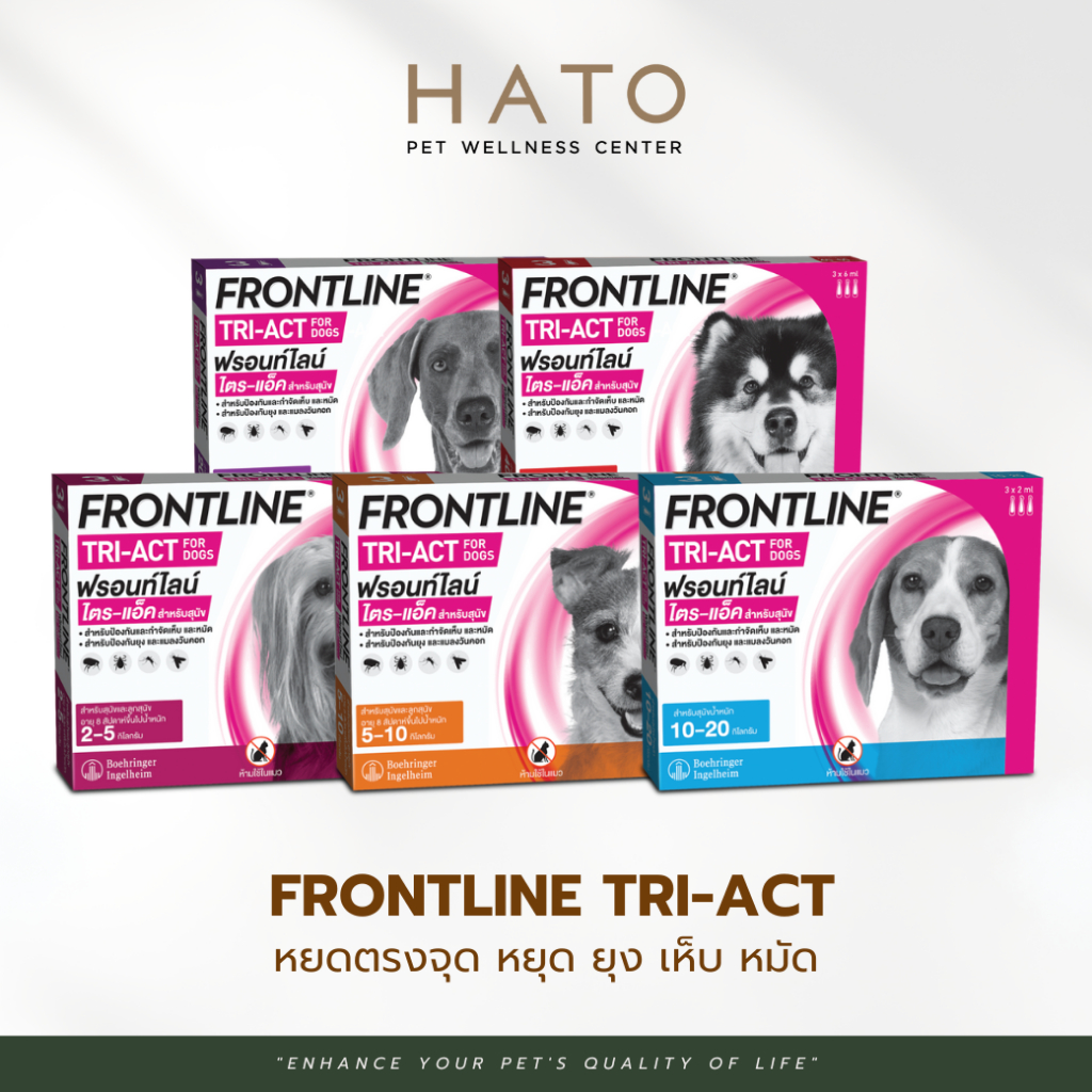 Frontline Tri-Act หยดตรงจุด หยุด ยุง เห็บ หมัด สำหรับสุนัขทุกสายพันธุ์ 1 กล่อง (3 หลอด)