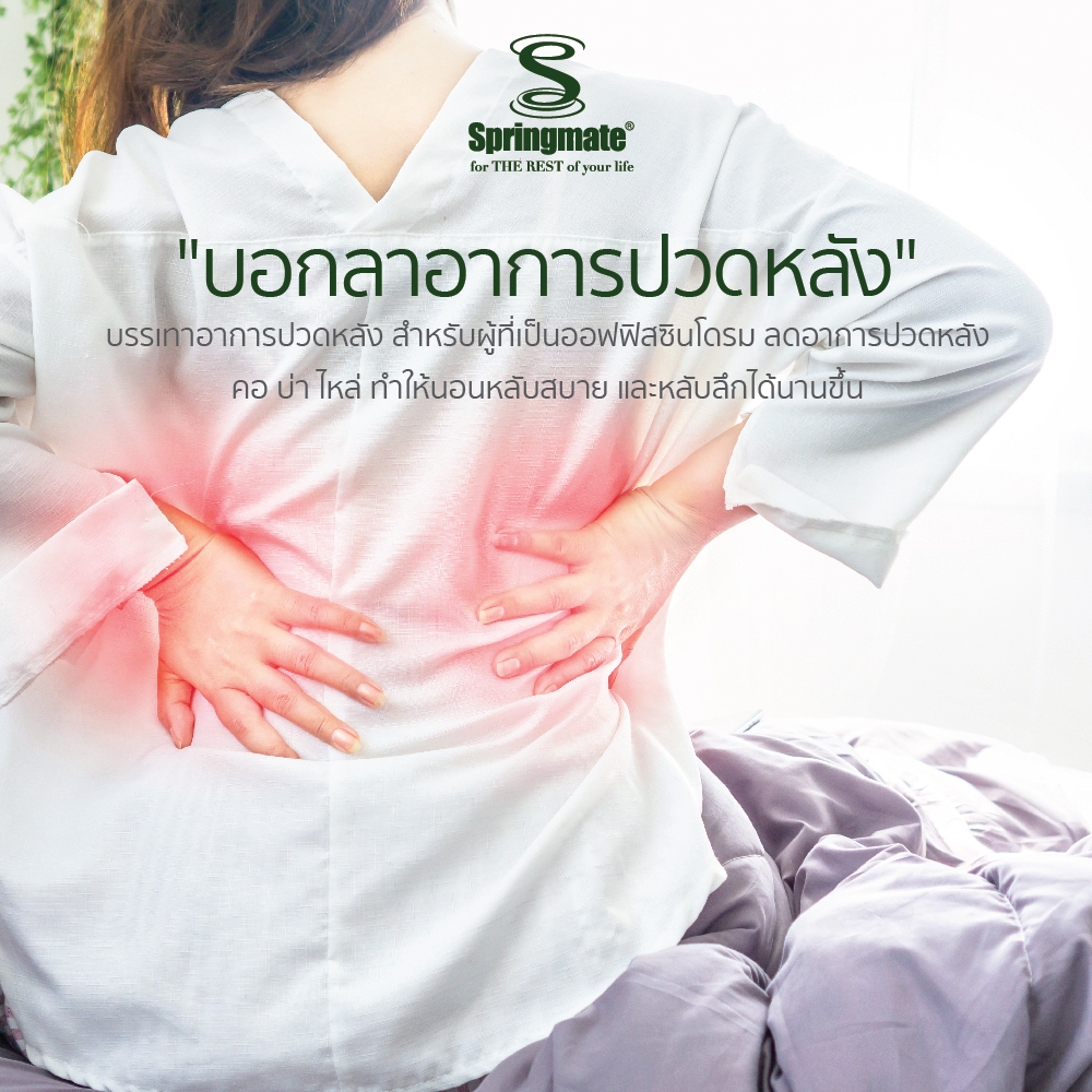Springmate Cooling memory topper ที่นอนเพื่อสุขภาพ ที่รองนอน ท๊อปเปอร์เมมโมรี่โฟมแบบเย็น หุ้มผ้าเย็นนาโนคูล ราคา ถูกที่สุด ดีลบีเคเค แกลเลอรีภาพที่ 6