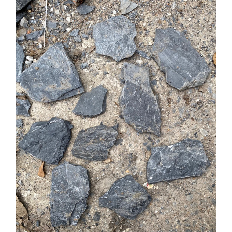 หินกาบป่า กาบป่า 1กิโล