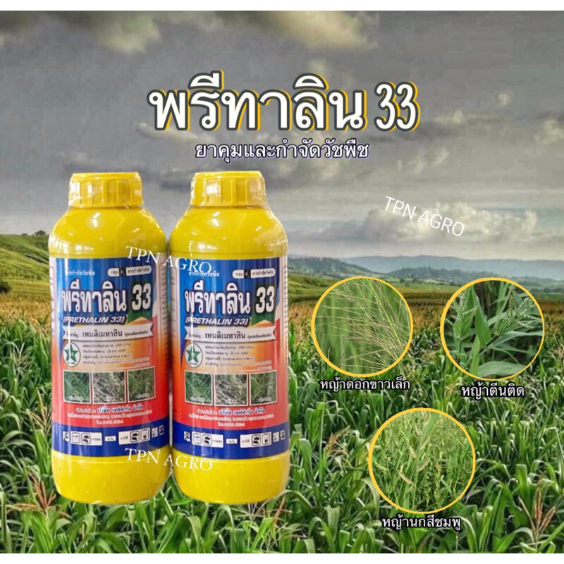 ยาเหลือง ยาคุม พรีทาลิน33 (เพนดิเมทาลิน) 🌾