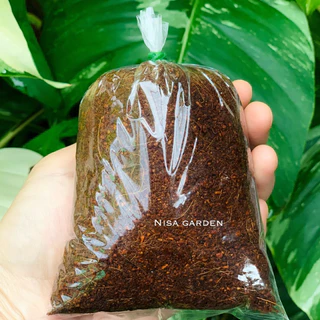 Nisa Garden ตุ้มตอนกิ่ง ถุง 5x8 ไซส์ใหญ่พิเศษ 10 ฟรี 1‼️ ขุยมะพร้าวผสมน้ำยาเร่งราก