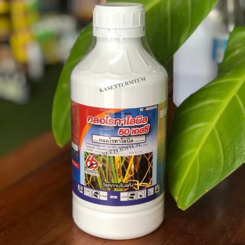 คลอโรทาโลนิล 50SC ป้องกันกำจัดโรคใบจุด โรคราน้ำค้าง โรคแอนแทรคโนส โรคใบไหม้ โรครากำมะหยี่ โรคตากบ