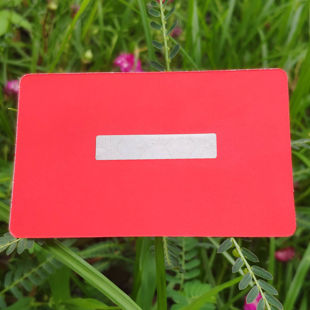 Red Dead Redemption 2 Ultimate Offline Key Card จัดส่งทันที