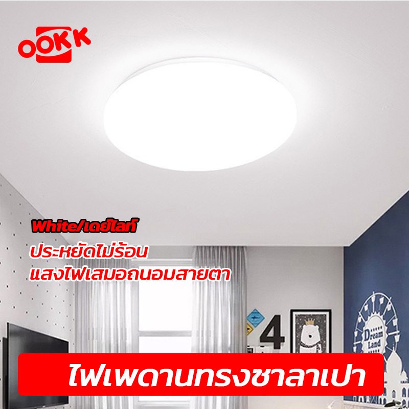 NEWBEE โคมไฟเพดาน โคมซาลาเปา 24W 36W 48w LED ทรงกลม สำเร็จรูปพร้อมหลอด โคมไฟ LED แสง DAYLIGHT