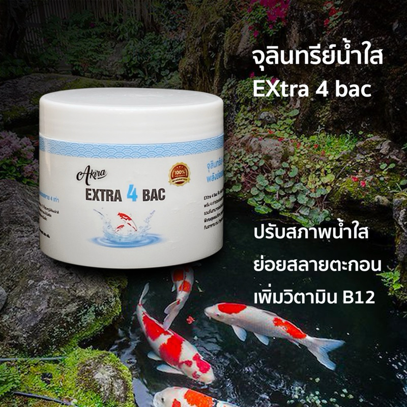 จุลินทรีย์น้ำใส Extra 4 bac น้ำใส สะอาด ย่อยสลายตะกอน ขนาด 300 กรัม - รูปที่ 5
