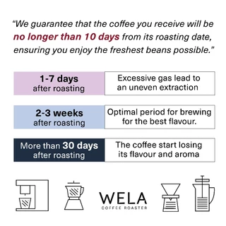 WELA Coffee Roaster - เมล็ดกาแฟคั่ว Costa Rica Mozart, Raisin Honey Process, Light Roast