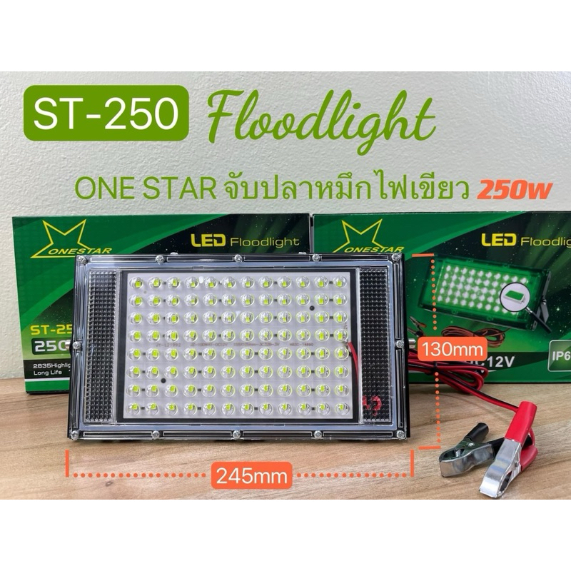 ไฟตกหมึก ไฟFlood Light จับปลาหมึก 2835Highlight LED DC-12V 120Lm/w สายยาว:140cm ST-250wไฟสีเขียว