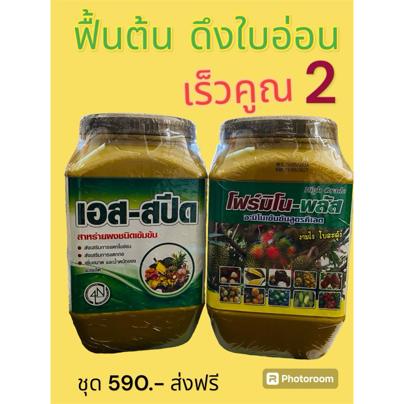 ชุดฟื้นต้น เร่งใบเร็วคูณสอง