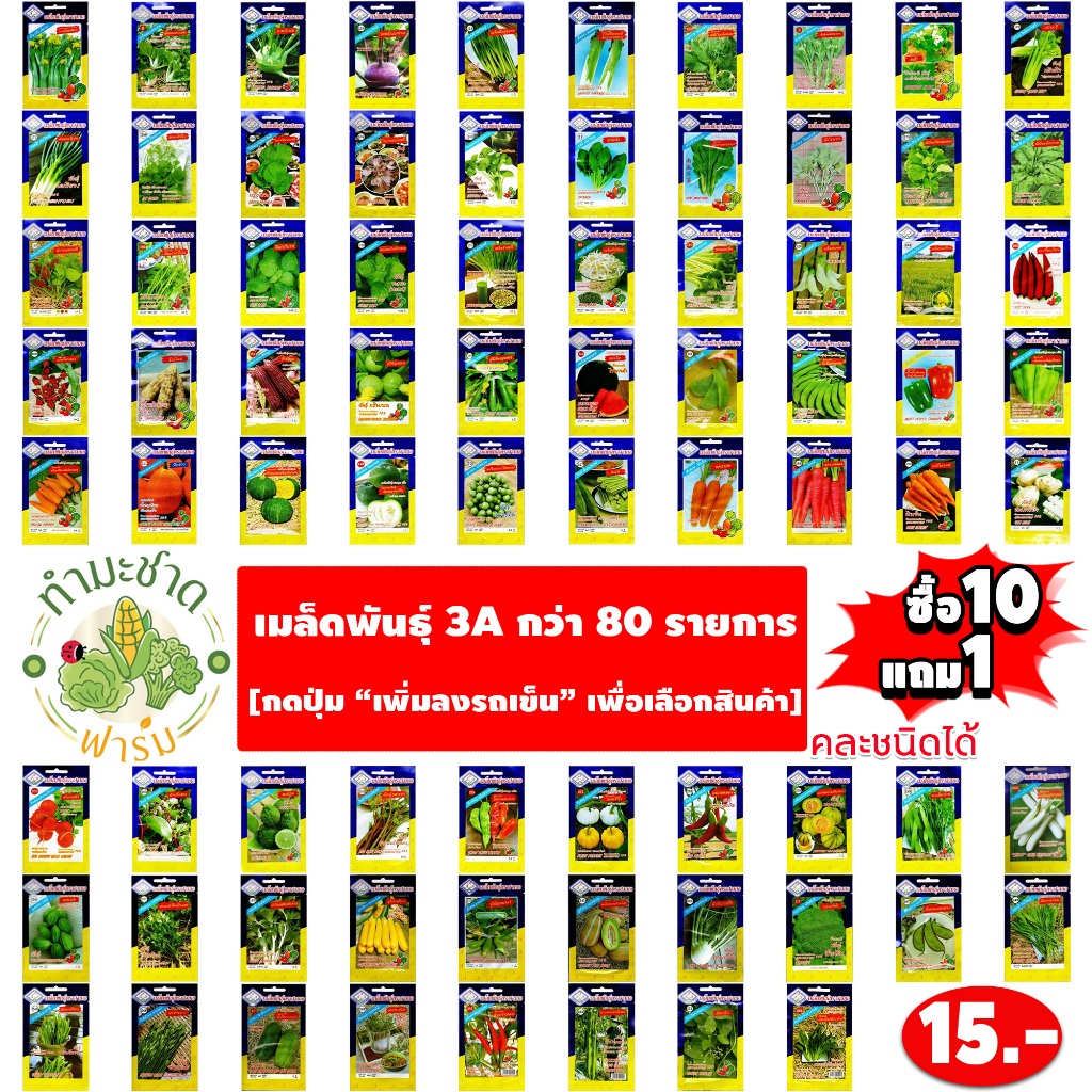 3A 15฿ [10แถม1] เมล็ดพันธุ์ผัก สวนครัว 3A เม็ดผัก กวางตุ้ง กะหล่ำปม กุยช่าย ใบงา ใบบัวบก ต้นหอมญี่ปุ่น ตำลึง แครอท แรดิช