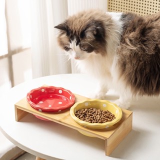 ชามอาหารยกสูง ชามเซรามิก แมวและสุนัข ลายจุด สีสันสดใส ถ้วยเซ…