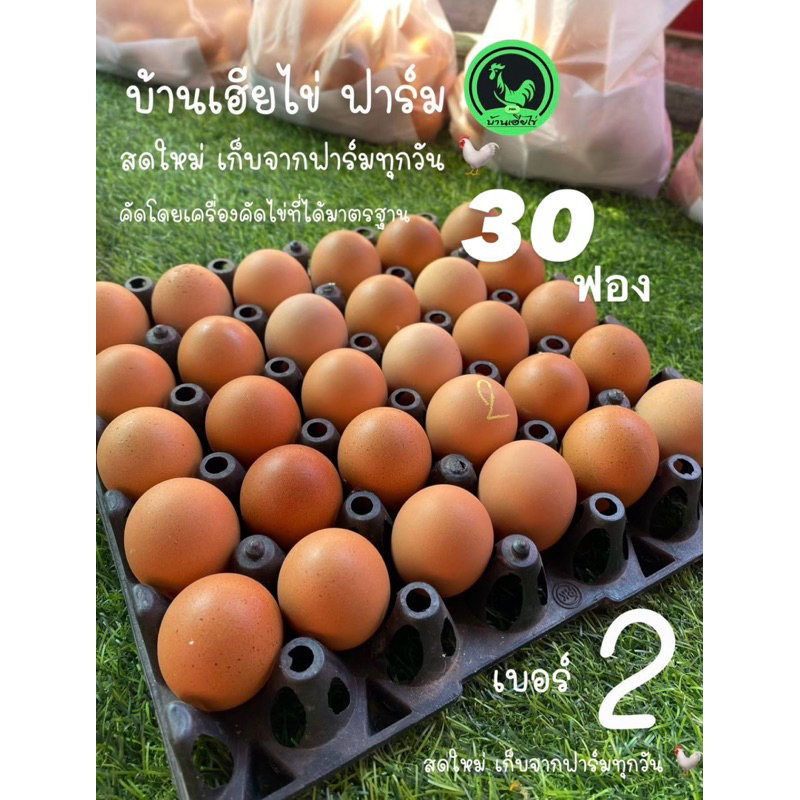 ไข่ไก่ สดใหม่จากฟาร์มวันต่อวัน เบอร์2 30ฟอง ลูกใหญ่ตามมาตรฐาน