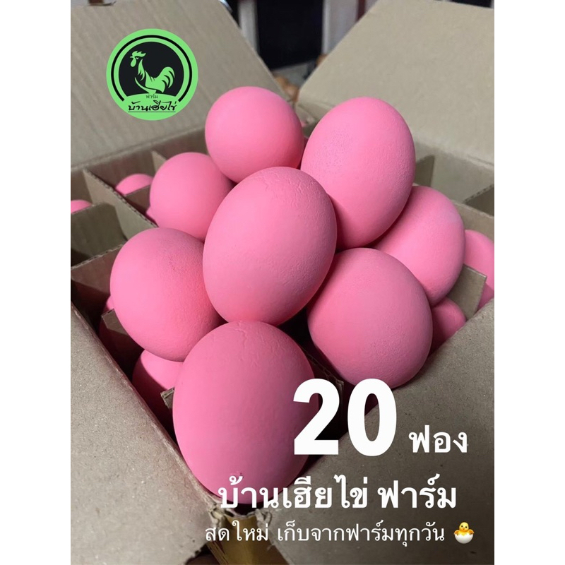 ไข่เยี่ยวม้า 20ฟอง ปลอดสารพิษ ต้มแล้ว เนื้อเป็นวุ้น พร้อมรับประทาน