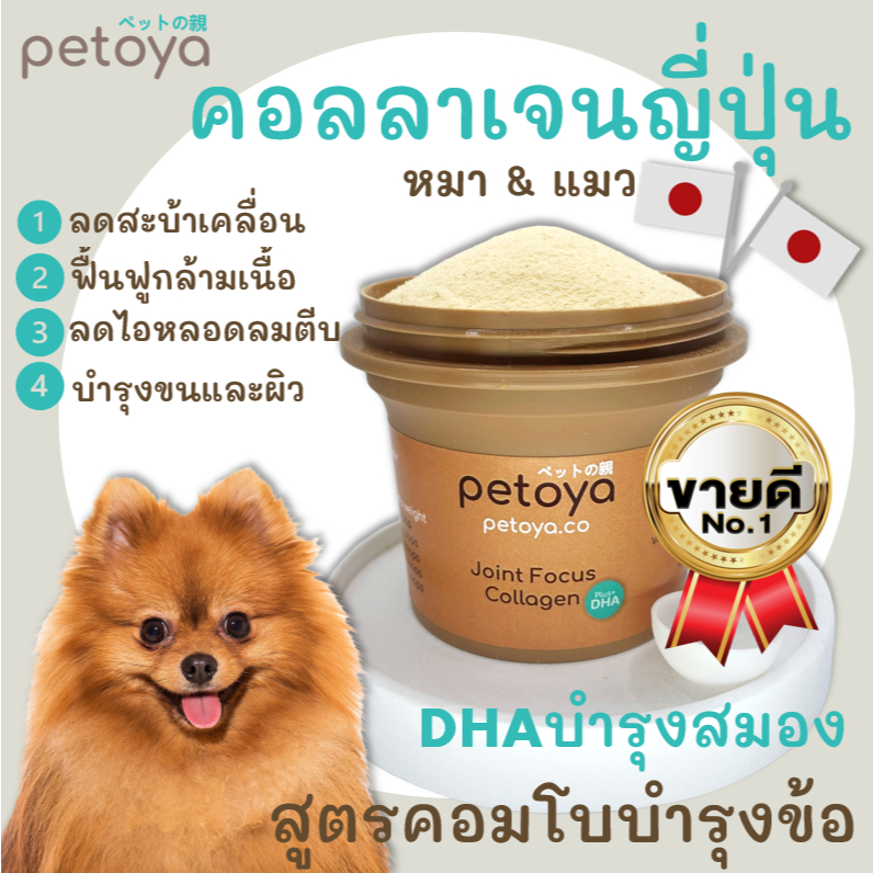 Petoya คอลลาเจนญี่ปุ่นบำรุงข้อและขน สำหรับสุนัขและแมว สูตร Joint Focus + DHA