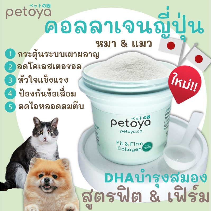 คอลลาเจนญี่ปุ่นบำรุงข้อและขน สำหรับสุนัขและแมว สูตร Fit&Firm ฟิต&เฟิร์มบำรุงหัวใจ