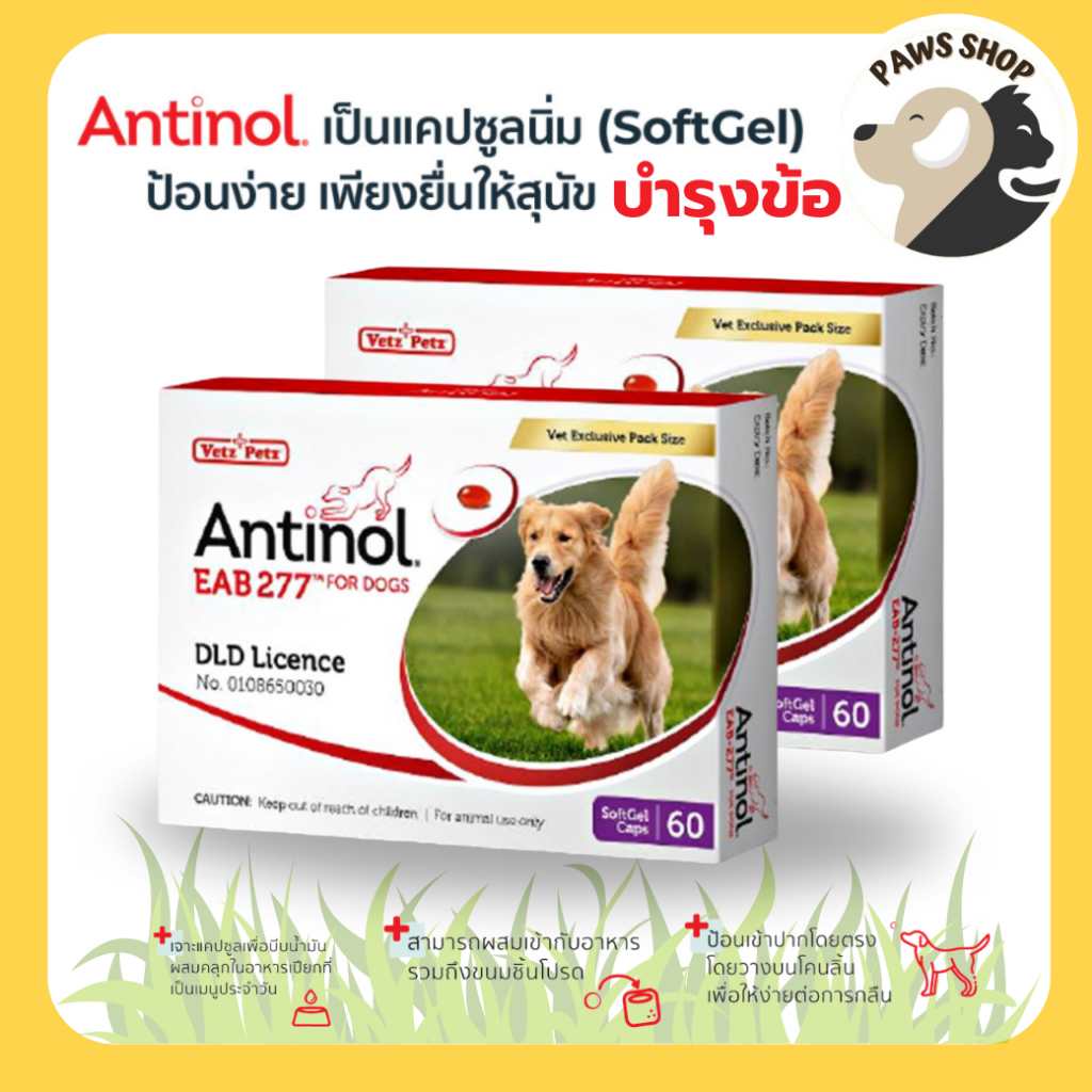 [ของแท้ 100%][2 กล่อง] แอนทินอล Antinol® EAB 277™ บำรุงข้อ กระดูก สุนัขทานได้ตั้งแต่ 6 เดือนขึ้นไป