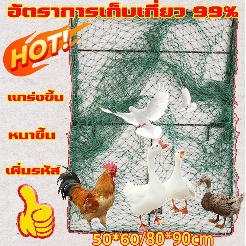 กับดักไก่แบบตาข่าย เบานกติดแล้วไม่หลุดใช้งานได้นานหลายปี