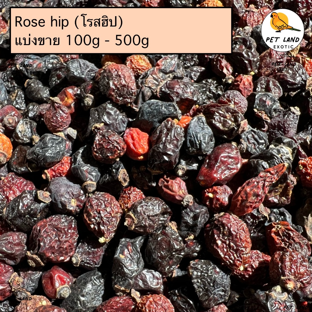 Rose Hip ผลโรสฮิป สำหรับนกแก้ว กระต่ายและสัตว์ฟันแทะ ร่อนฝุ่น แบ่งขาย 100g-500g